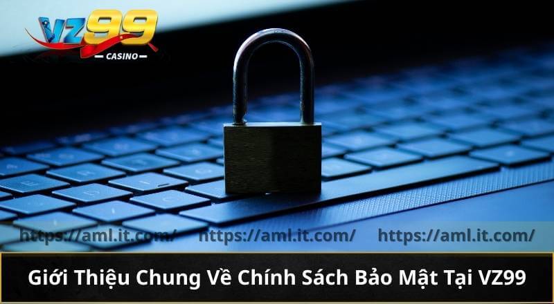 Giới Thiệu Chung Về Chính Sách Bảo Mật Tại VZ99